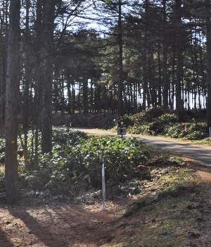 風越山8