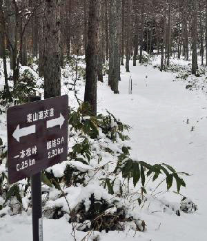 風越山11