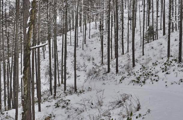 風越山5