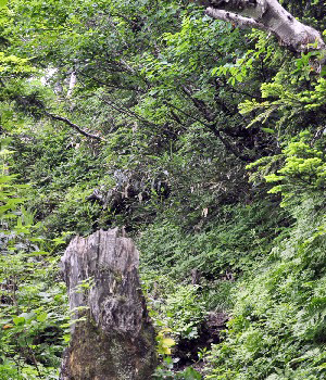 天狗原山19
