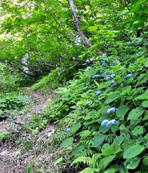 天狗原山2