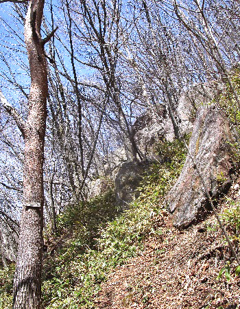 桟敷山2