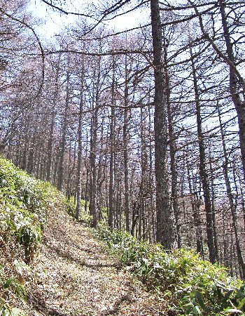桟敷山3