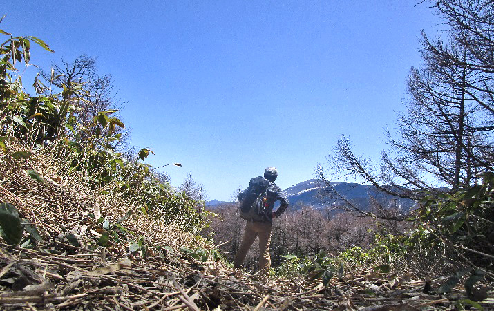 桟敷山8