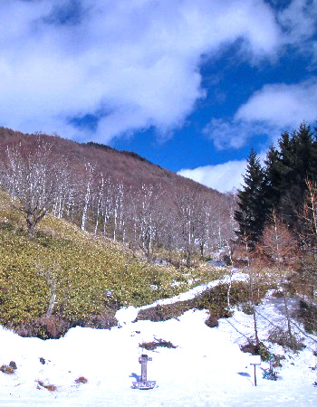 桟敷山1