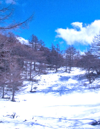 桟敷山15