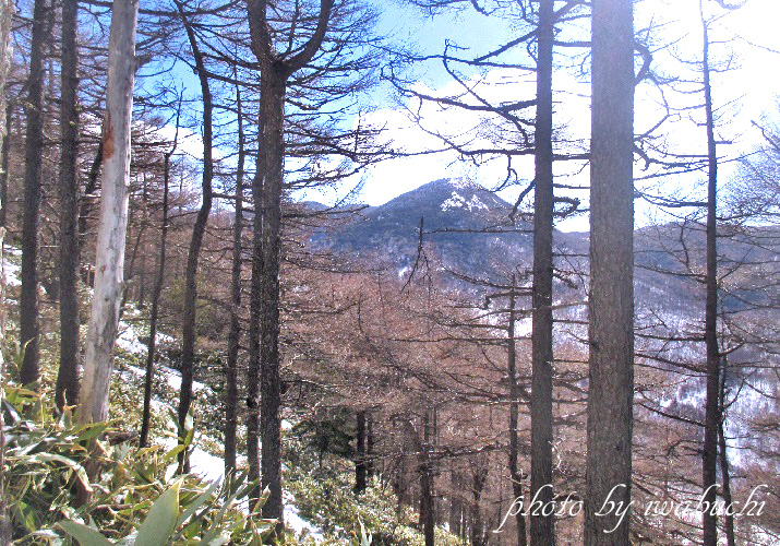 桟敷山5