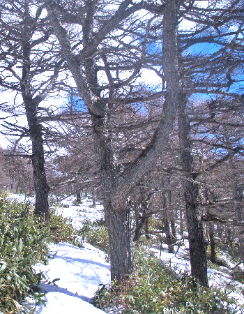 桟敷山7