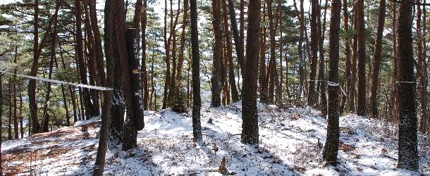 鷲尾山10