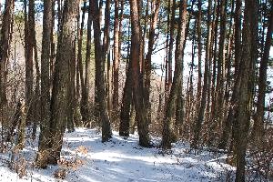 鷲尾山13