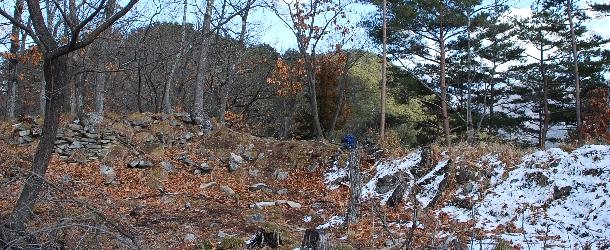 鷲尾山