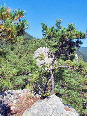 坂城鷹岩10