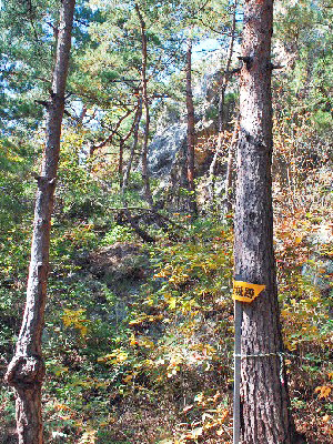 坂城鷹岩2