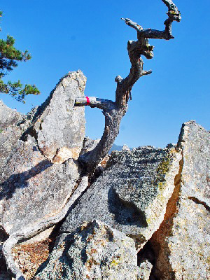 坂城鷹岩9