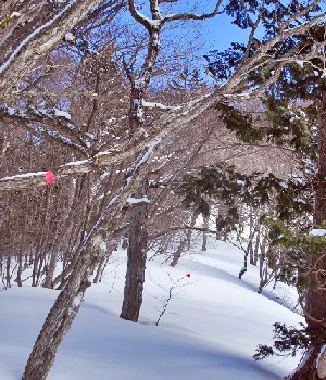 瑪瑙山8