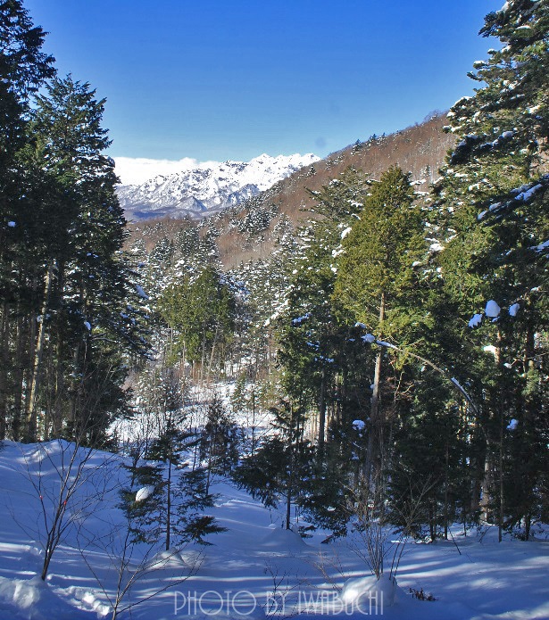 瑪瑙山10