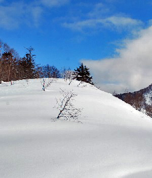 瑪瑙山22