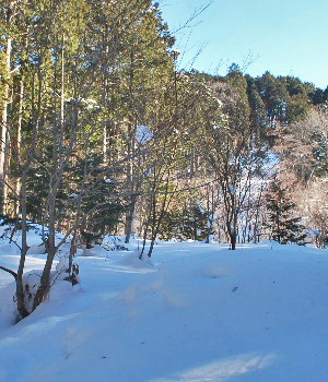 瑪瑙山7