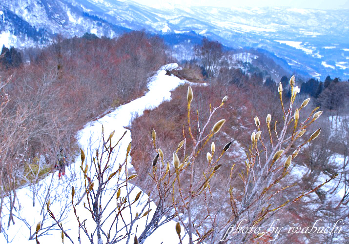 黒岩山13