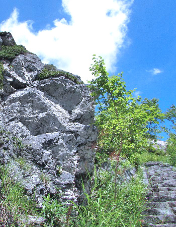 熊四郎山3