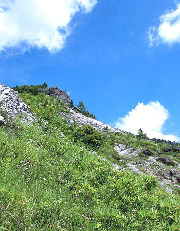 熊四郎山4