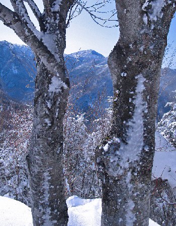中倉山3