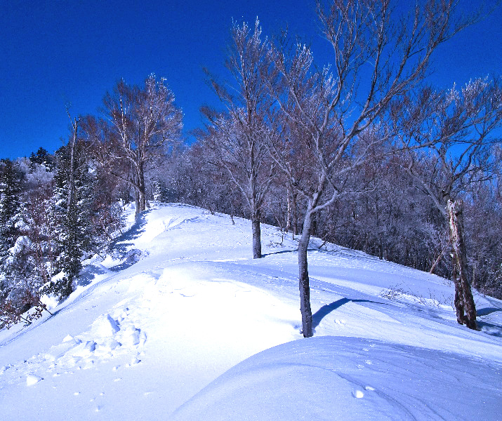 中倉山4