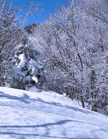 中倉山5