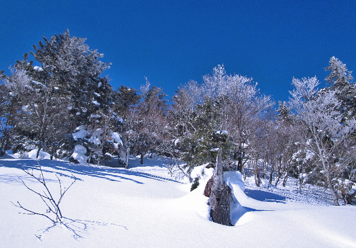 中倉山7