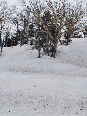 ъx11