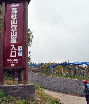 高社山1