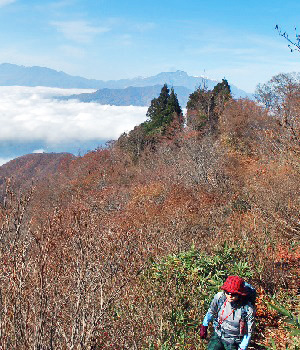 高社山14