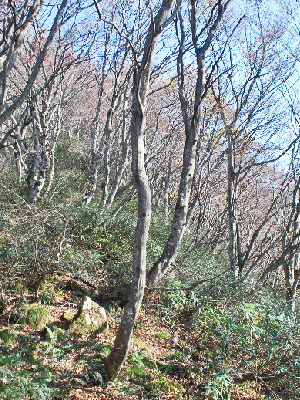 天狗岩22