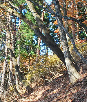 天狗岩4
