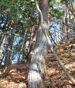 天狗岩8