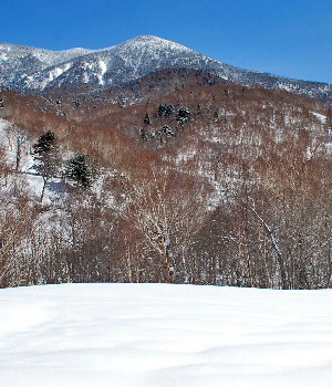 岩菅山1