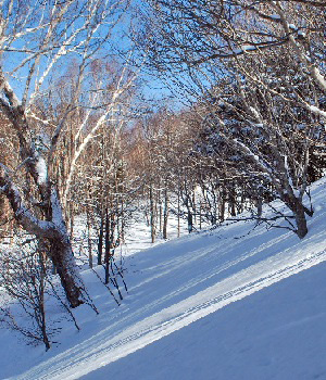 岩菅山12