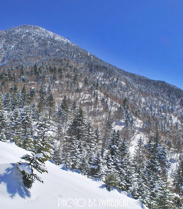 岩菅山20