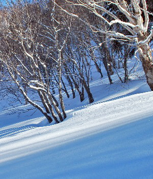 岩菅山5