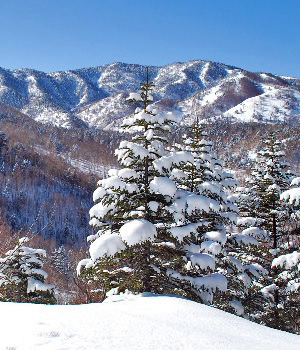 岩菅山7
