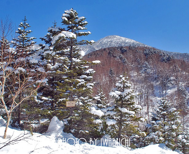 岩菅山8