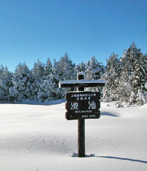 志賀山6