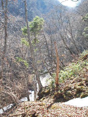 大谷山不動滝14
