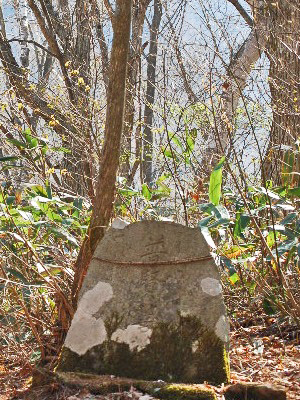 大谷山不動滝5