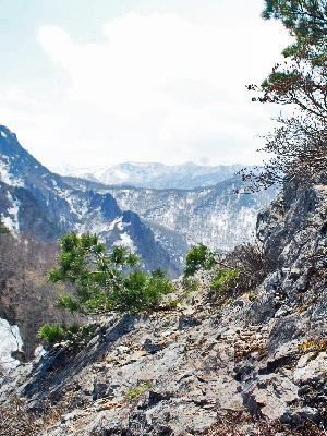 善光寺山18