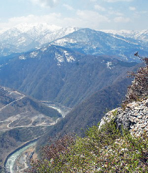 善光寺山19