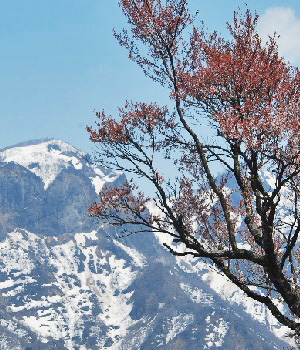 善光寺山24