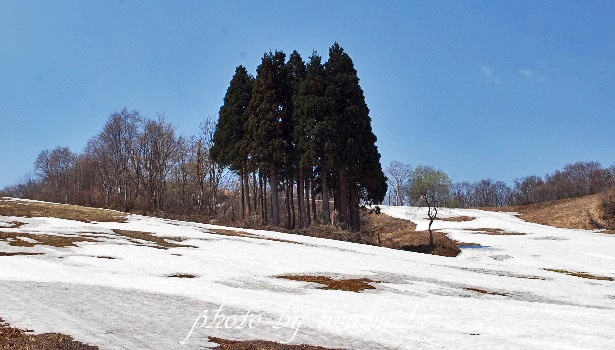 善光寺山3