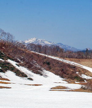 善光寺山4