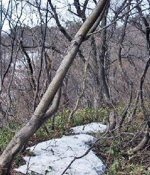 観音平山6
